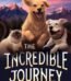 The Incredible Journey By Sheila Burnford USA