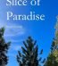 Slice of Paradise By S. Hukr USA