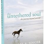 The Untethered Soul and The Surrender Experiment 2 Book Set by Michael A. Singer