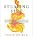 Stealing Fire By Steven Kotler & Jamie Wheal USA