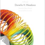 Thinking in Systems: A Primer by Donella H. Meadows – International Bestseller (Paperback)
