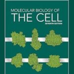 Molecular Biology of the Cell Paperback by Bruce Alberts – Comprehensive Textbook on Cellular and Molecular Biology