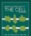 Molecular Biology of the Cell By Bruce Alberts USA