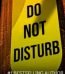 Do Not Disturb by Freida McFadden USA