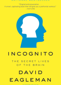 Incognito by David Eagleman USA