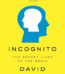 Incognito by David Eagleman USA