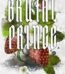 Brutal Prince by Sophie Lark USA
