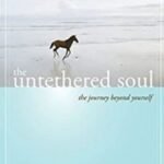 The Untethered Soul: The Journey Beyond Yourself by Michael A. Singer