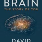 The Brain by David Eagleman USA