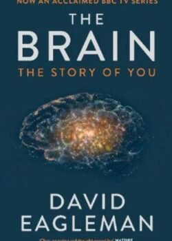 The Brain by David Eagleman USA