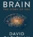 The Brain by David Eagleman USA