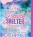 Chasing Shelter by Catherine Cowles USA