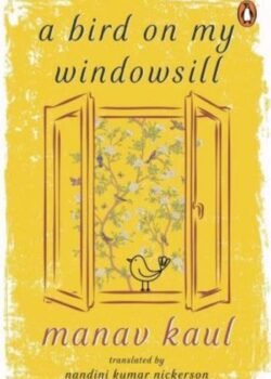 A Bird on My Windowsill by Manav Kaul USA