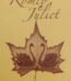 Romeo & Juliet by William Shakespeare USA