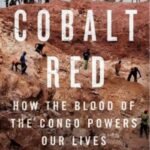 Cobalt Red by Siddharth Kara USA