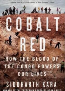 Cobalt Red by Siddharth Kara USA