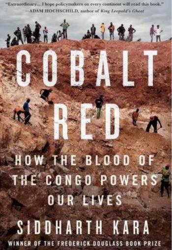 Cobalt Red by Siddharth Kara USA