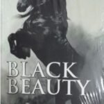 Black Beauty by Anna Sewell USA