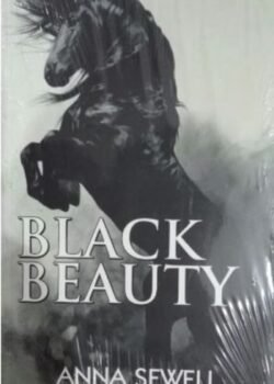 Black Beauty by Anna Sewell USA