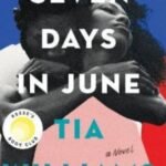 Seven Days in June by Tia Williams USA