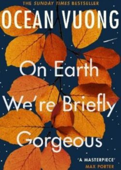 On Earth We're Briefly Gorgeous by Ocean Vuong USA