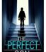 The Perfect Son by Freida McFadden USA