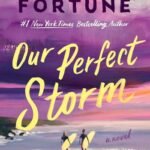 Our Perfect Storm by Carley Fortune USA