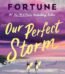 Our Perfect Storm by Carley Fortune USA