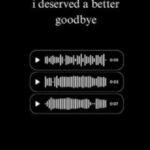 I Deserved a Better Goodbye by Akhira USA