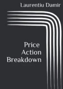 Price Action Breakdown by Laurentiu Damir USA