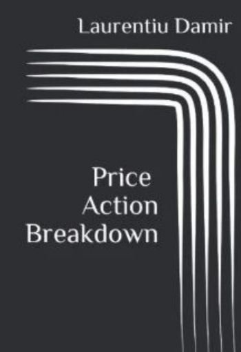Price Action Breakdown by Laurentiu Damir USA