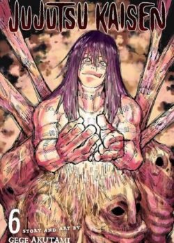 Jujutsu Kaisen, Vol. 6 by Gege Akutami USA