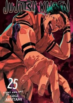 Jujutsu Kaisen Vol. 25 by Gege Akutami USA