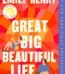 Great Big Beautiful Life by Emily Henry USA