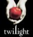 Twilight by Stephenie Meyer USA