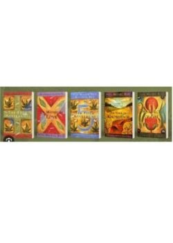 The Four Agreements 5 Books Set by Don Miguel Ruiz USA