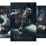 Shame on You Series 3-Book Combo by Willow Winters USA
