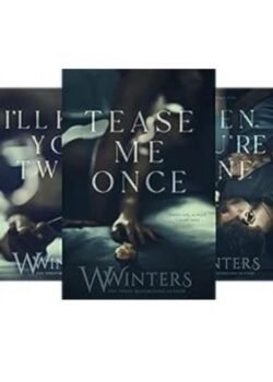 Shame on You Series 3-Book Combo by Willow Winters USA
