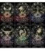 Zodiac Academy 6 Books Set by Caroline Peckham USA