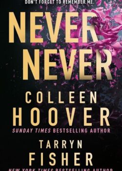 Never Never by Colleen Hoover USA
