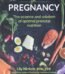 Real Food for Pregnancy by Lily Nichols USA