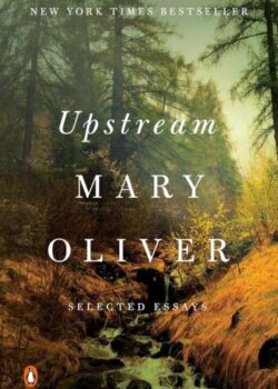 Upstream By Mary Oliver USA