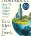 Abundance by Ezra Klein & Derek Thompson USA