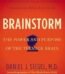Brainstorm by Daniel J. Siegel M.D. USA