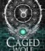 Caged Wolf by Caroline Peckham USA