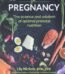 Real Food for Pregnancy by Lily Nichols USA