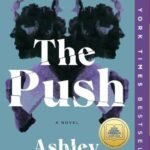 The Push by Ashley Audrain USA
