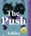 The Push by Ashley Audrain USA