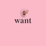 Want by Gillian Anderson USA