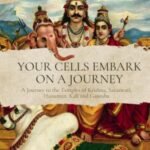 Your Cells Embark on a Journey By Swami Manuel USA